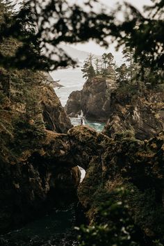 an ocean view through some trees and rocks