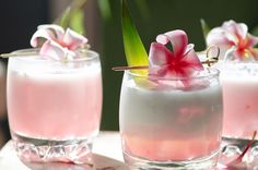 three glasses filled with pink liquid and flowers