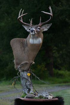 a deer statue on top of a tree stump