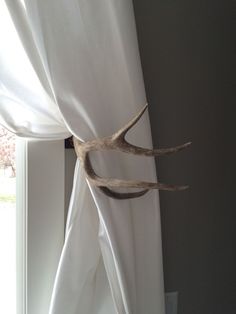 an antler's head sticking out of the curtain