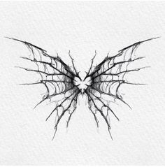 a drawing of a butterfly with wings spread out