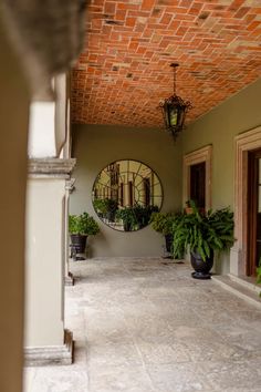 a hallway with potted plants and mirrors on the wall