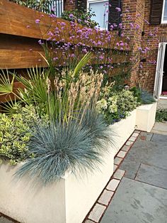 some very pretty plants in a big planter by the side of a building with purple flowers