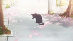 a black cat sitting on the ground in front of some trees and pink flowers,