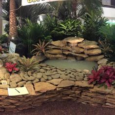 a display in a store with rocks and plants on the ground next to a pond