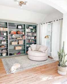 a living room filled with lots of bookshelves next to a dog laying on the floor