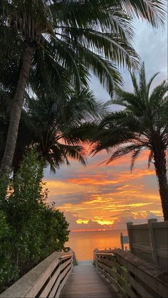 a wooden walkway leading to the beach with palm trees on either side and sunset in the background