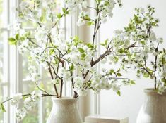 two vases filled with white flowers on top of a table next to a window