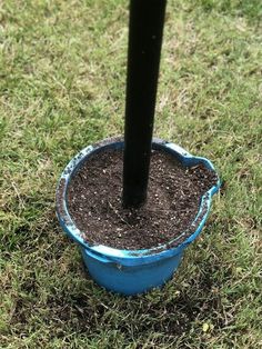 a blue bucket with dirt in it and a black pole sticking out of the ground