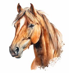 a painting of a brown horse on a white background