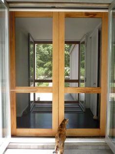 a cat sitting on the floor in front of a glass door looking out at trees