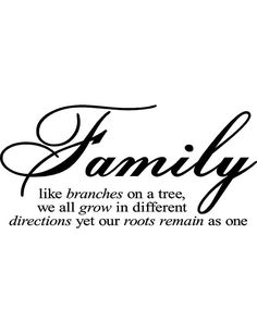 family like branches on a tree we all grow in different directions yet our roots remain as one