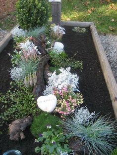 a garden with plants and rocks in it