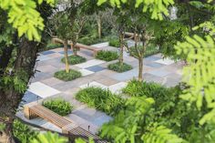 an aerial view of a park with benches and trees