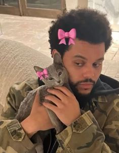 a man holding a cat with pink bows on it's head and looking at the camera