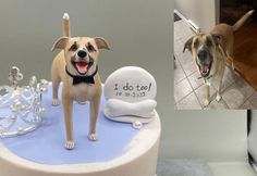 a dog is standing next to a cake