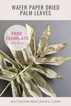 a plant with leaves and text overlay that says free template for wafer paper dried palm leaves