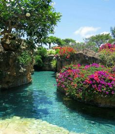 the water is crystal blue with pink and red flowers