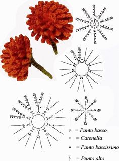 three different types of flowers are shown in this diagram