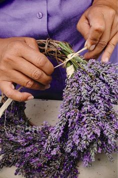 a person is working on some lavender flowers