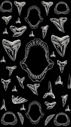 various types of shark teeth are shown in this black and white drawing, with an oval surrounded by smaller sharks