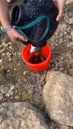 a person is pouring water into a red bucket on the ground with rocks in the background