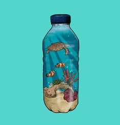 a bottle with an image of a turtle and fish in it on a blue background