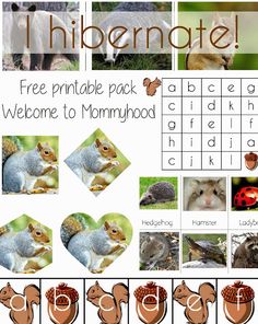 an animal themed printable pack with pictures and words