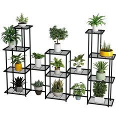 an assortment of potted plants are arranged on black metal shelvings with yellow and white planters