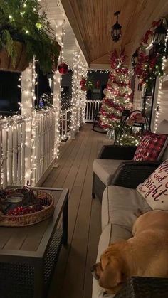 a porch decorated for christmas with white lights and decorations on the deck, dog sleeping in front