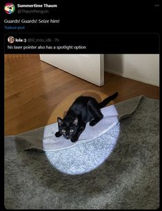 a black cat laying on top of a bed