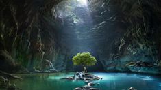 a tree is growing in the middle of a cave with blue water and green vegetation