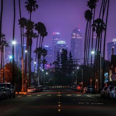 the city skyline is lit up at night, with palm trees and street lights in the foreground