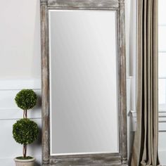 a large mirror sitting on top of a table next to a potted green plant