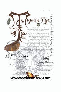 the front cover of tiger's eye, with an image of a butterfly on it