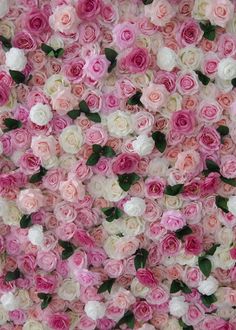 many pink and white flowers are arranged in the shape of a flower wall with green leaves