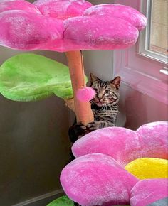 a cat sitting on the floor next to a pink flower shaped tree with green leaves