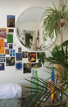 a mirror hanging on the wall next to a bed with plants in front of it