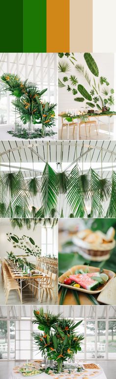 a collage of photos with different plants and food on the table in front of them