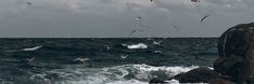 seagulls flying over the ocean with waves crashing on rocks in front of them