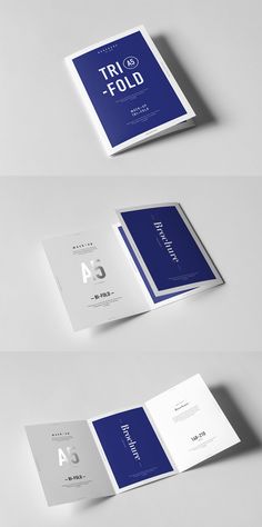 three folded brochures with blue and white designs