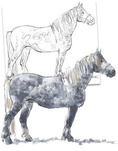 two horses standing next to each other on top of a white surface and one is drawn in pencil