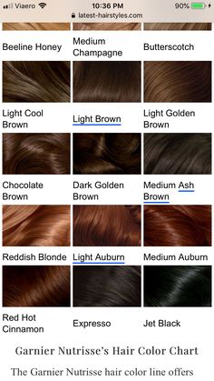 Brown Hair With Gold Undertones, Brown Hair Colors Chestnut, Chocolate Brown Hair Men, Chest Nut Brown Hair, Dark Bronze Hair, Light Brown With Red Undertones, Chestnut Hair Color Dark, Brown Hair Palette, Cocoa Hair Colour