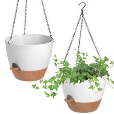 two hanging planters with green plants in them and one has a chain attached to it