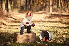 Love this fall idea with apples...could even do green and red Orchard Pictures, Apple Orchard Pictures, Fall Mini Sessions, Toddler Photos, Fall Family Pictures, Toddler Photography, Photographs Ideas, Foto Tips, Fall Mini