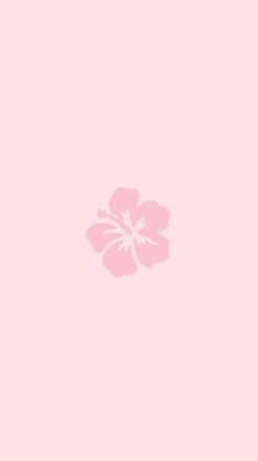 a pink flower on a light pink background