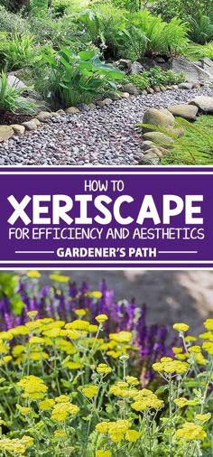 an image of a garden with flowers and plants in the background text reads how to xeriscae for efficiency and aesthetics gardener's path