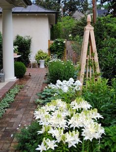 a garden with white flowers and greenery next to a brick walkway in front of a house