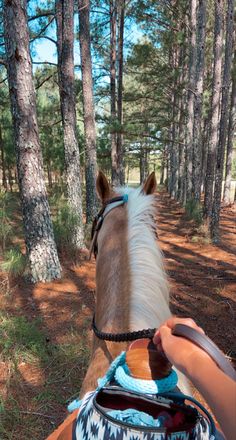 a person riding on the back of a brown horse through a forest filled with trees