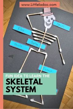 a skeleton made out of sticks with the words fun idea to learn the skeletal system